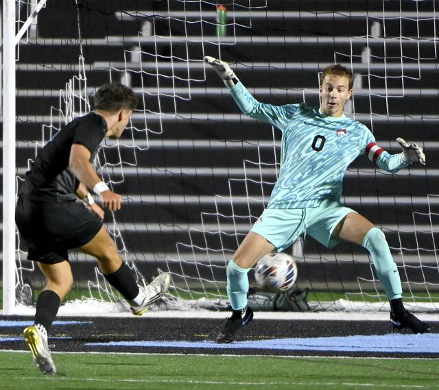 8910956_web1_ptr-HSroundup14-100125