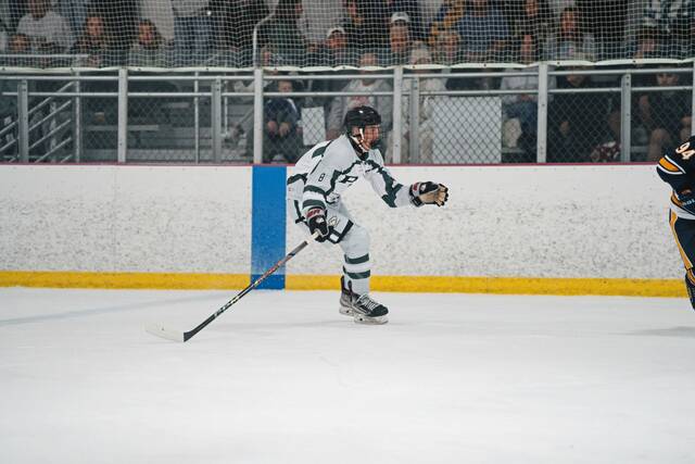 8913603_web1_pts-PThockey10-100925