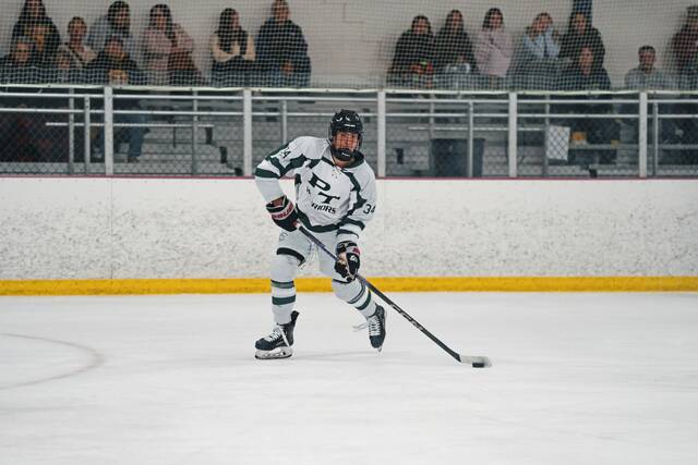 8913603_web1_pts-PThockey3-100925