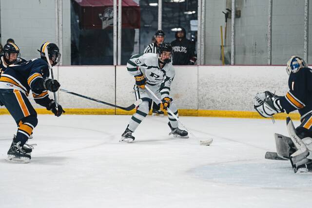 8913603_web1_pts-PThockey4-100925