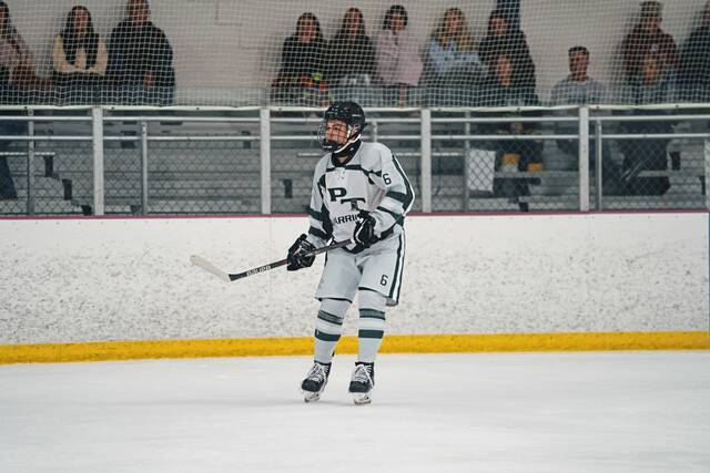 8913603_web1_pts-PThockey7-100925