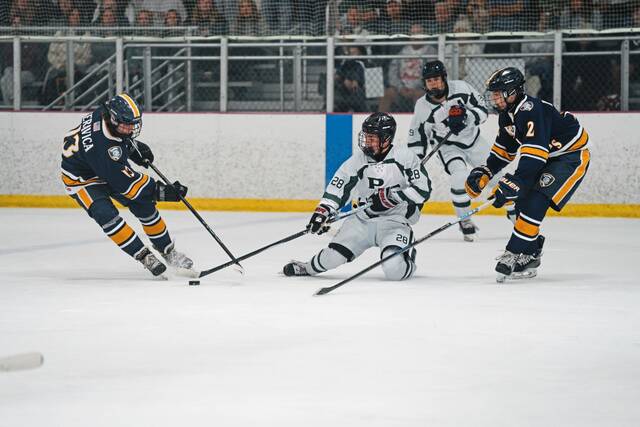 8913603_web1_pts-PThockey8-100925