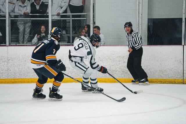 8913603_web1_pts-PThockey9-100925