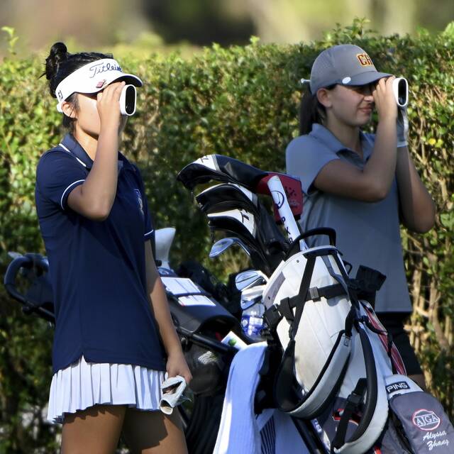 8916991_web1_ptr-WPIALGirlsGolf07-100225