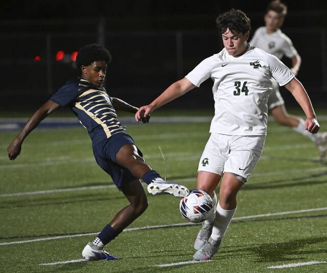 8918661_web1_gtr-FRBelle02-100325