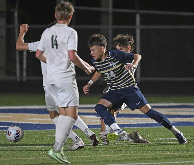 8918661_web1_gtr-FRBelle04-100325