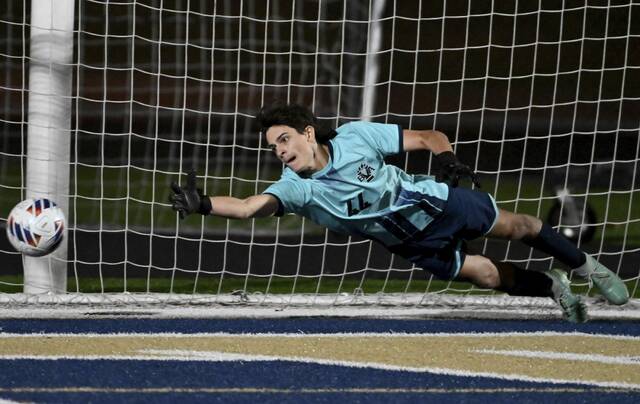 8918661_web1_gtr-FRBelle05-100325