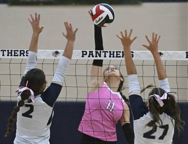 8928447_web1_gtr-GSVolleyball02-100425