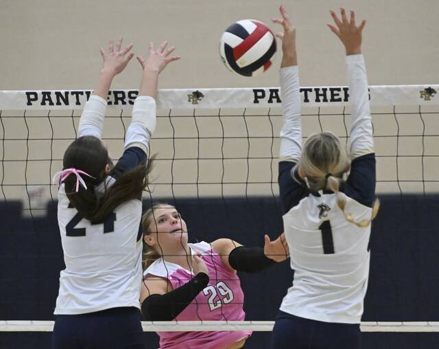 8928447_web1_gtr-GSVolleyball03-100425