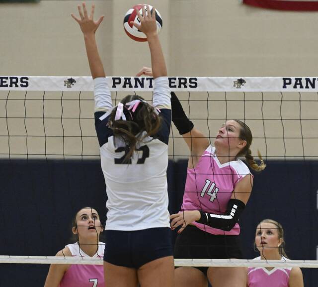 8928447_web1_gtr-GSVolleyball05-100425