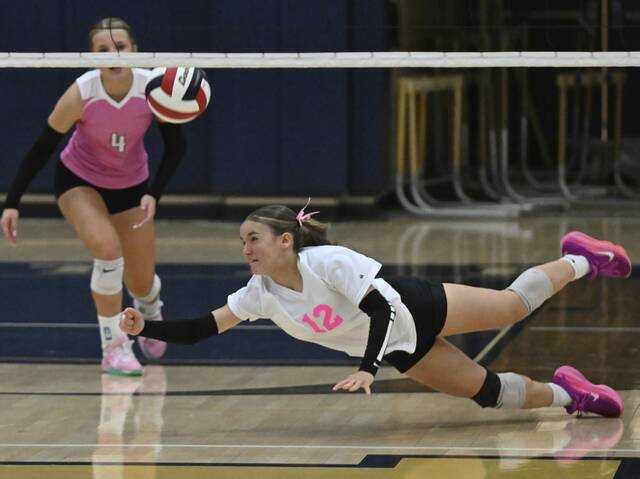 8928447_web1_gtr-GSVolleyball06-100425