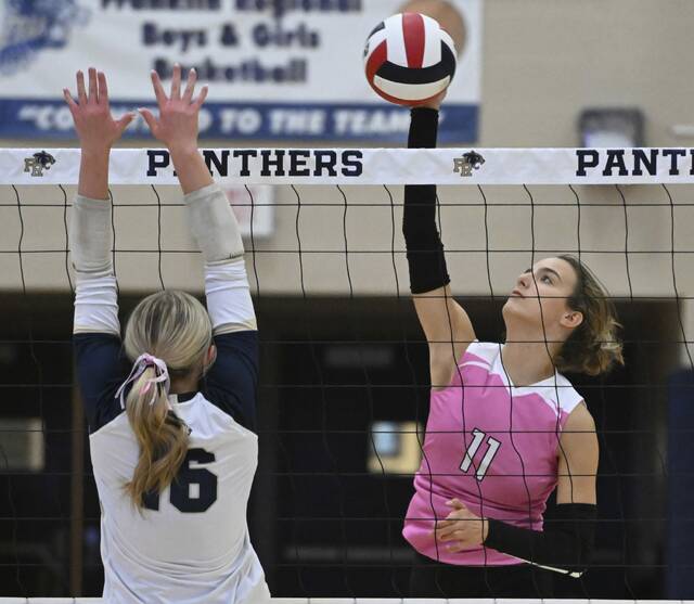 8928447_web1_gtr-GSVolleyball07-100425