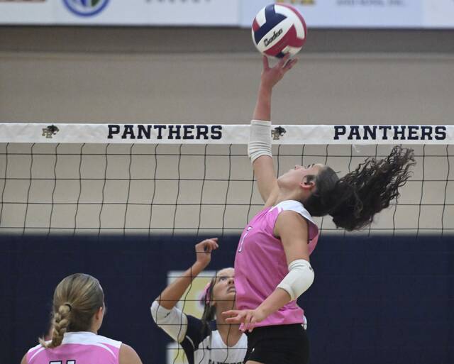 8928447_web1_gtr-GSVolleyball08-100425