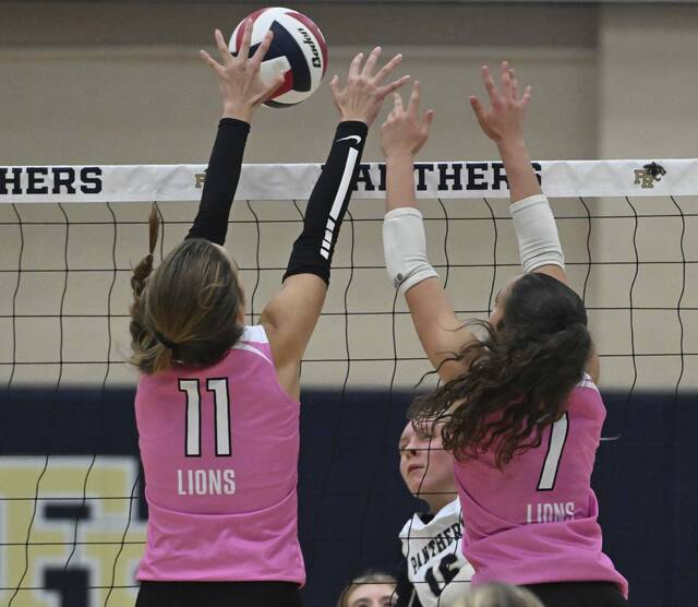 8928447_web1_gtr-GSVolleyball11-100425