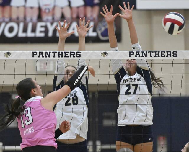 8928447_web1_gtr-GSVolleyball12-100425