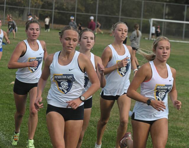 Norwin runners (from left) Addison Farrah, Anna Dansak, Jillan Ryba, Emily Dansak and Annie Czajkowski run together during the Westmoreland County Coaches’ Association meet at Westmoreland County Communty College on Wednesday. Norwin placed first.
