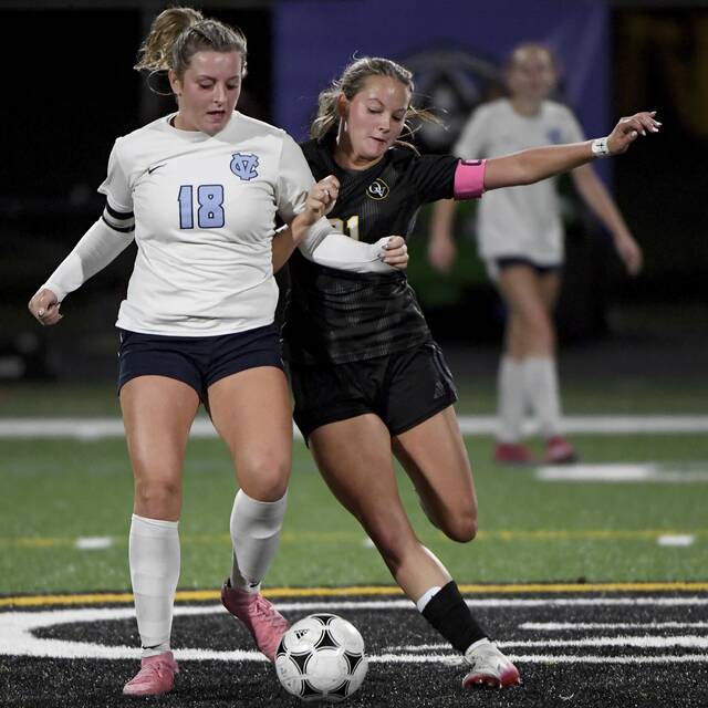 8935219_web1_ptr-QVCVgsoc08-100925