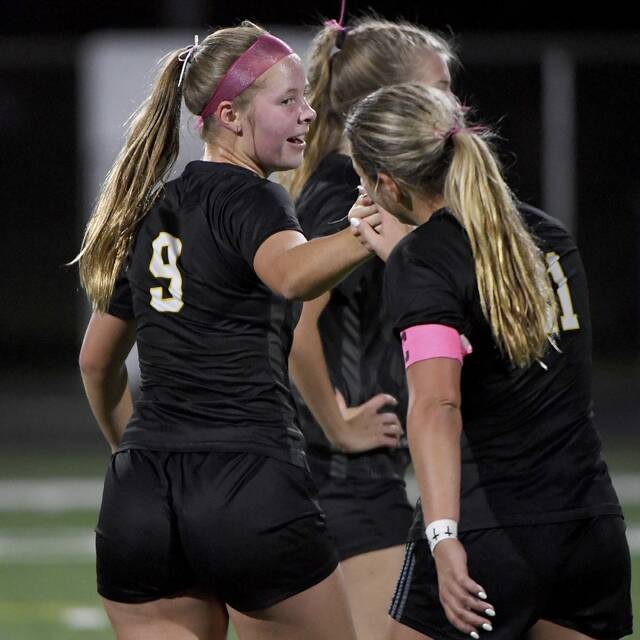 8935219_web1_ptr-QVCVgsoc10-100925