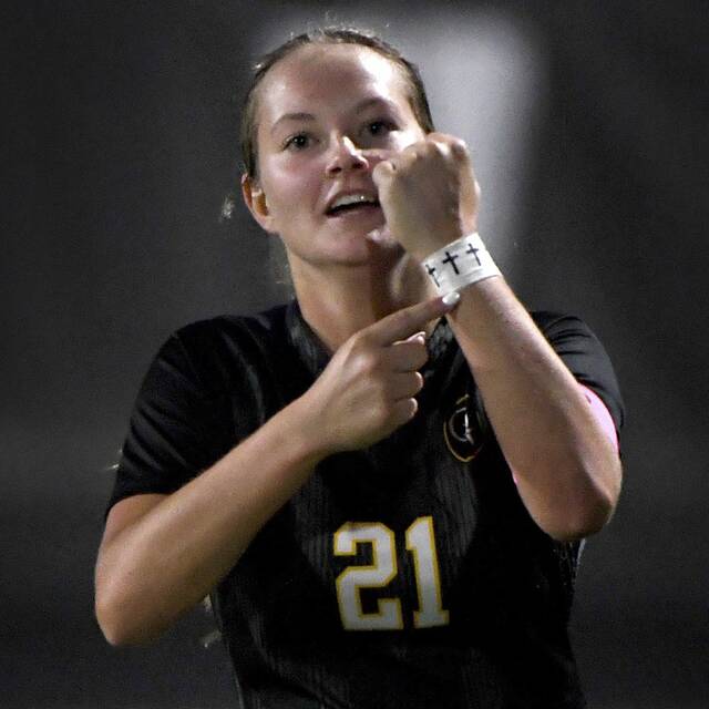 8935219_web1_ptr-QVCVgsoc11-100925