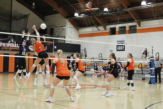 8935686_web1_vnd-SpringdaleVB01-100925