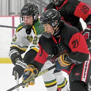 Penn-Trafford’s Aiden Drotos works against Fox Chapel’s Keita Komatsu last season.