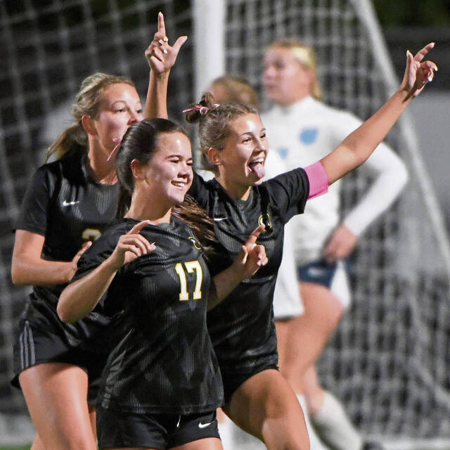 8938090_web1_ptr-QVCVgsoc03-100925