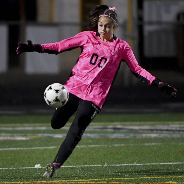 8938090_web1_ptr-QVCVgsoc13-100925