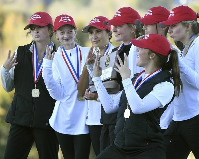 8938921_web1_ptr-WPIALteamgolf02-101025