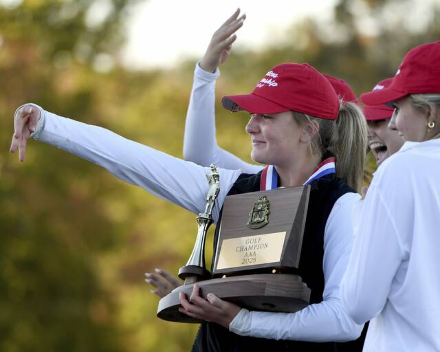 8938921_web1_ptr-WPIALteamgolf03-101025