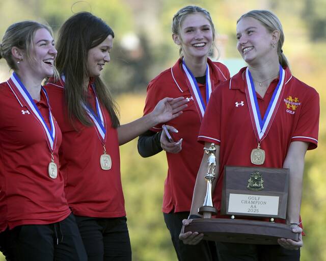 8938921_web1_ptr-WPIALteamgolf04-101025