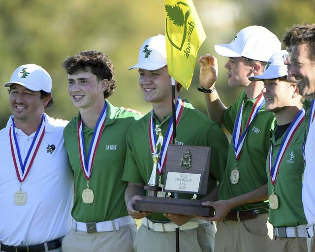 8938921_web1_ptr-WPIALteamgolf06-101025