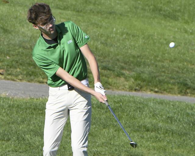 8938921_web1_ptr-WPIALteamgolf07-101025