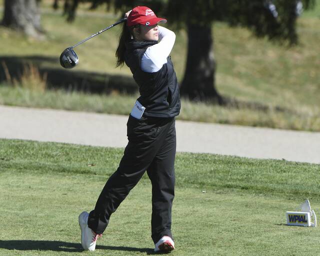 8938921_web1_ptr-WPIALteamgolf08-101025