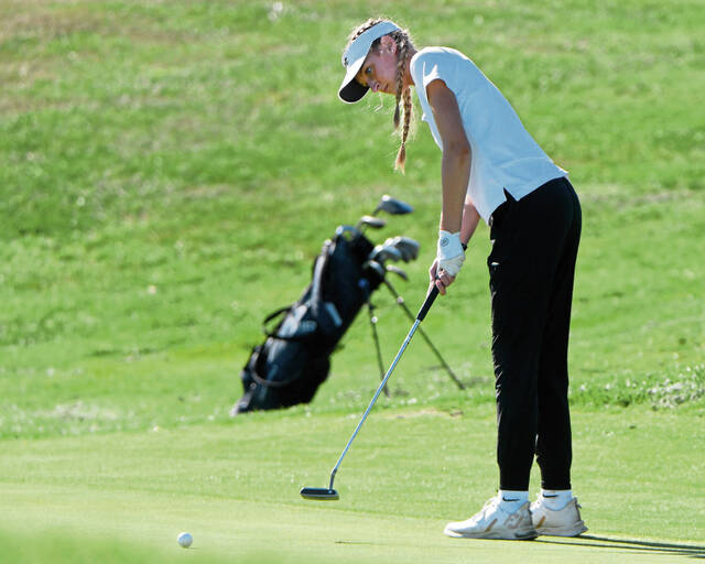 8938921_web1_ptr-WPIALteamgolf09-101025