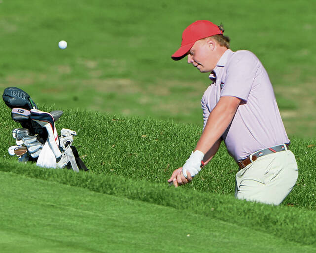 8938921_web1_ptr-WPIALteamgolf11-101025