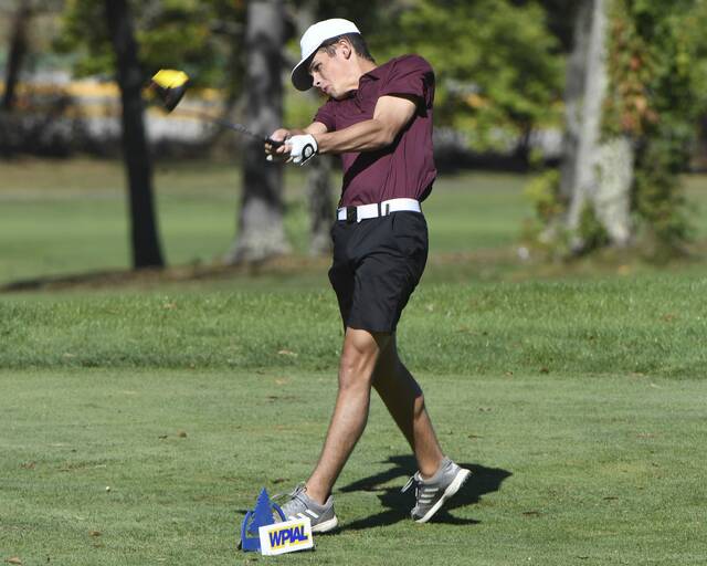 8938921_web1_ptr-WPIALteamgolf12-101025