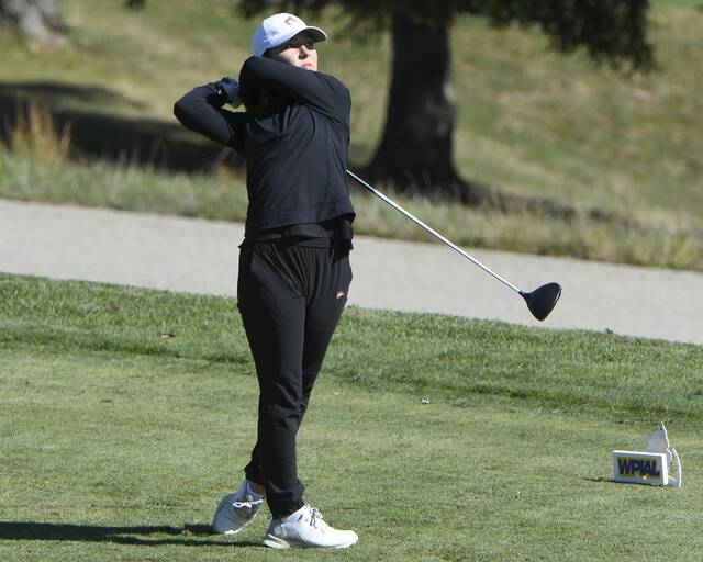 8938921_web1_ptr-WPIALteamgolf13-101025