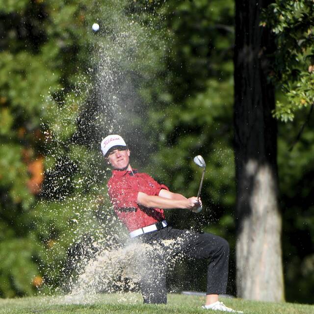 8938921_web1_ptr-WPIALteamgolf14-101025