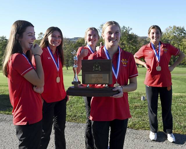 8938921_web1_ptr-WPIALteamgolf15-101025