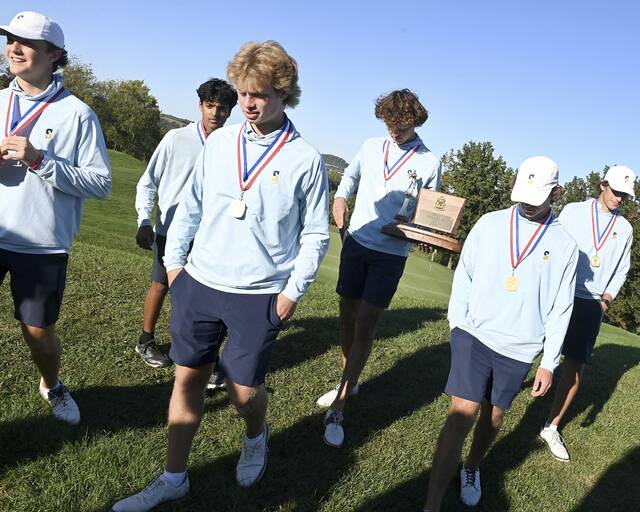 8938921_web1_ptr-WPIALteamgolf16-101025