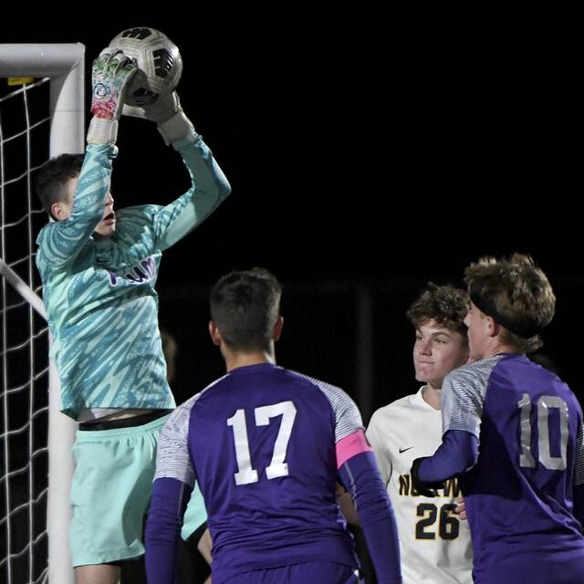 8938969_web1_ptr-PlumNorwin02-101025