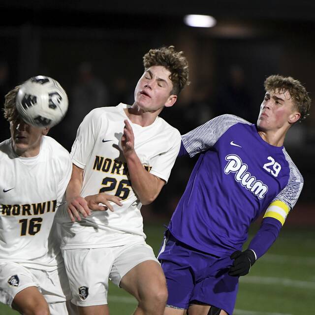 8938969_web1_ptr-PlumNorwin03-101025