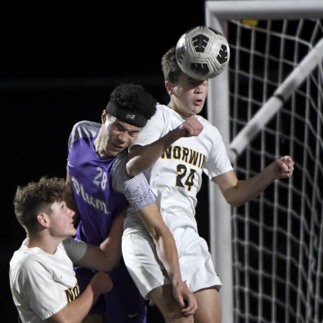 8938969_web1_ptr-PlumNorwin07-101025