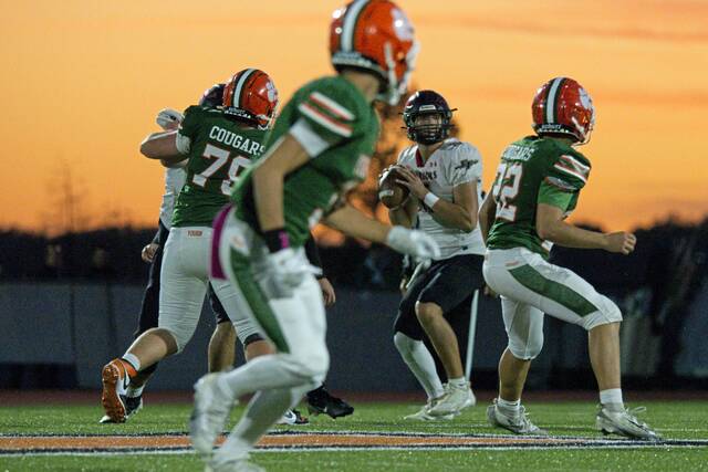 8942530_web1_gtr-YoughEF04-101125