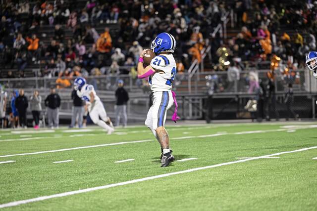 8942567_web1_vnd-LeechClair02-101125