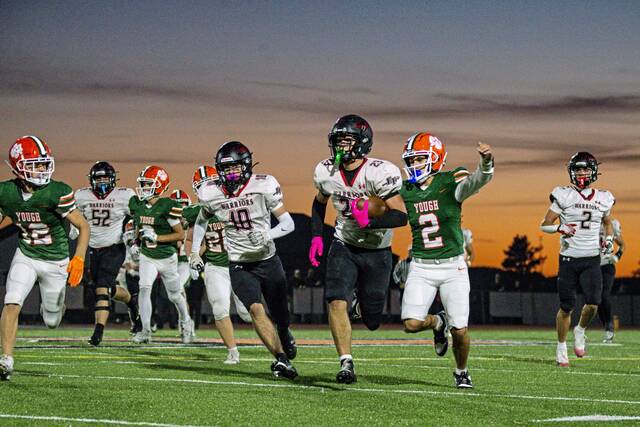 8954538_web1_gtr-YoughEF01-101125