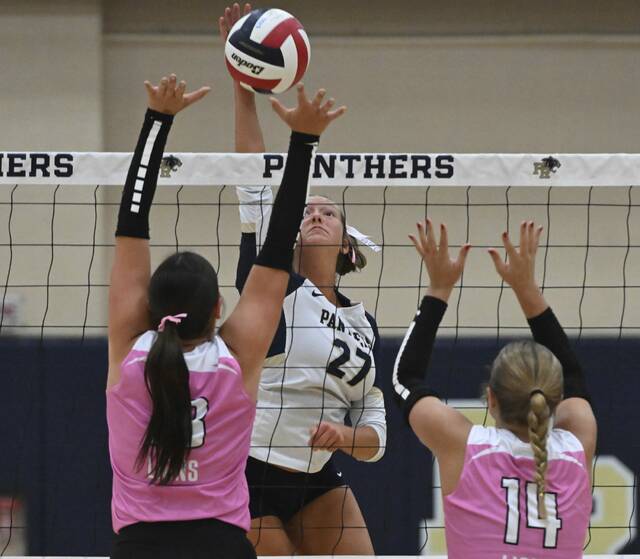 8961810_web1_gtr-FRVolleyball07-100425