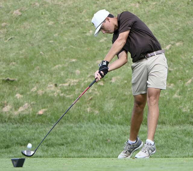 8969526_web1_ptr-WPIAL2Agolf03-100125