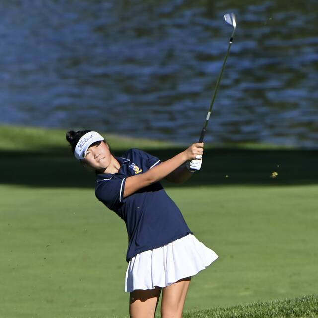 8969526_web1_ptr-WPIALGirlsGolf06-100225