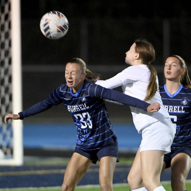 8972896_web1_ptr-BurrellBVAgsoc03-102225